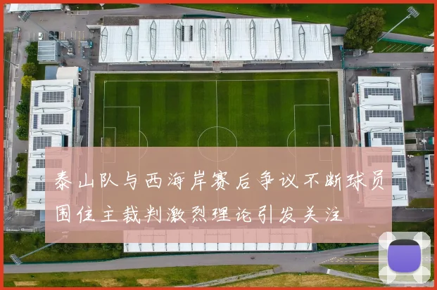 泰山队与西海岸赛后争议不断球员围住主裁判激烈理论引发关注