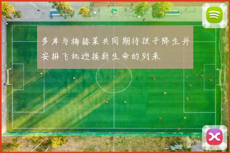 多库与梅赫莱共同期待孩子降生并安排飞机迎接新生命的到来