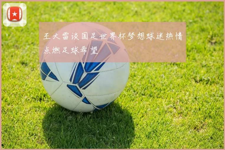 王大雷谈国足世界杯梦想球迷热情点燃足球希望